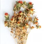 Ramos de Cartamos - Imagen 2