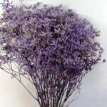 Ramo limonium morado