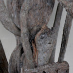 Ramo palo repollo verde - Imagen 3