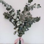 Ramo silvestre Eucalyptus - Imagen 2