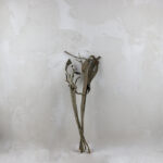 Ramo palo repollo verde - Imagen 2