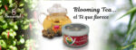 Blooming Tea (bolitas de té para tetera vidrio)