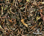 Té Darjeeling