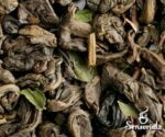 Té Gunpowder Menta